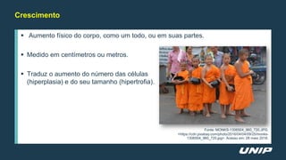 Crescimento
 Aumento físico do corpo, como um todo, ou em suas partes.
 Medido em centímetros ou metros.
 Traduz o aumento do número das células
(hiperplasia) e do seu tamanho (hipertrofia).
Fonte: MONKS-1306504_960_720.JPG.
<https://cdn.pixabay.com/photo/2016/04/04/09/25/monks-
1306504_960_720.jpg>. Acesso em: 28 maio 2018.
 