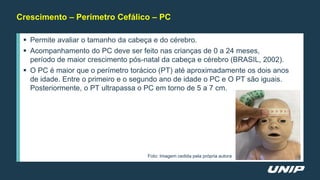 Crescimento – Perímetro Cefálico – PC
 Permite avaliar o tamanho da cabeça e do cérebro.
 Acompanhamento do PC deve ser feito nas crianças de 0 a 24 meses,
período de maior crescimento pós-natal da cabeça e cérebro (BRASIL, 2002).
 O PC é maior que o perímetro torácico (PT) até aproximadamente os dois anos
de idade. Entre o primeiro e o segundo ano de idade o PC e O PT são iguais.
Posteriormente, o PT ultrapassa o PC em torno de 5 a 7 cm.
Foto: Imagem cedida pela própria autora
 
