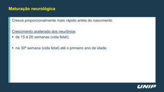 Maturação neurológica
Cresce proporcionalmente mais rápido antes do nascimento
Crescimento acelerado dos neurônios:
 de 15 á 20 semanas (vida fetal);
 na 30ª semana (vida fetal) até o primeiro ano de idade.
 
