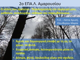 2ο ΕΠΑ.Λ. Αμαρουσίου
Ο κήπος του σχολείου - Παρατηρώντας τον περίγυρό μου,
μαθαίνω, αναγνωρίζω, σέβομαι και παρεμβαίνωωω...
Π.Ο. : Λάττα Χρυσή,
Ελευθερίου Μαρία

• Άμεση και δημιουργική επαφή με τη γη, το
χώμα, τα φυτά.
• Σωματική άσκηση, λειτουργικότητα μέσα σε
ομάδα.
• Δέντρα, φυτά, λουλούδια γύρω στο σχολείο.

 
