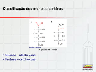 Classificação dos monossacarídeos
 Glicose – aldohexose.
 Frutose – cetohexose.
A. glicose e B. frutose
Fonte: a autora
 