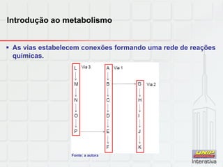 Introdução ao metabolismo
 As vias estabelecem conexões formando uma rede de reações
químicas.
Fonte: a autora
 