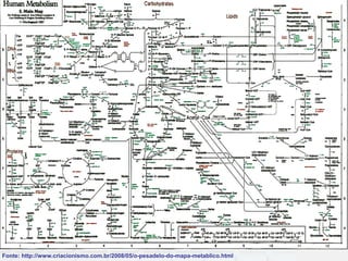 Fonte: http://www.criacionismo.com.br/2008/05/o-pesadelo-do-mapa-metablico.html
 