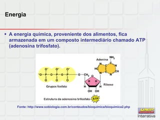 Energia
 A energia química, proveniente dos alimentos, fica
armazenada em um composto intermediário chamado ATP
(adenosina trifosfato).
Fonte: http://www.sobiologia.com.br/conteudos/bioquimica/bioquimica2.php
 