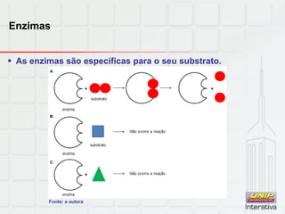 Enzimas
 As enzimas são específicas para o seu substrato.
Fonte: a autora
 