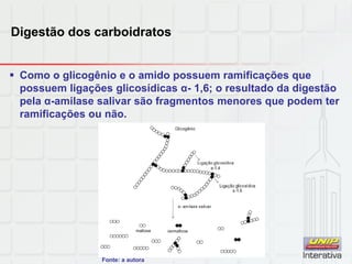 Digestão dos carboidratos
 Como o glicogênio e o amido possuem ramificações que
possuem ligações glicosídicas α- 1,6; o resultado da digestão
pela α-amilase salivar são fragmentos menores que podem ter
ramificações ou não.
Fonte: a autora
 