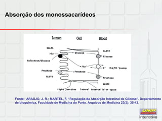 Absorção dos monossacarídeos
Fonte: ARAÚJO, J. R.; MARTEL, F. “Regulação da Absorção Intestinal de Glicose”. Departamento
de bioquímica, Faculdade de Medicina do Porto. Arquivos de Medicina 23(2): 35-43.
 