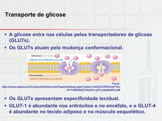 Transporte de glicose
 A glicose entra nas células pelos transportadores de glicose
(GLUTs).
 Os GLUTs atuam pela mudança conformacional.
 Os GLUTs apresentam especificidade tecidual.
 GLUT-1 é abundante nos eritrócitos e no encéfalo, e o GLUT-4
é abundante no tecido adiposo e no músculo esquelético.
Fonte:
http://www.objetivo.br/ConteudoOnline/mp/Pages/Default.aspx?token=velUCtCHEK0ueFTAJ
0Y%2fBENQjTVAbDVLq3TLs8pB0tM%3d#
 