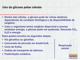 Uso da glicose pelas células
 Dentro das células, a glicose pode ter vários destinos,
dependendo da condição fisiológica e da disponibilidade de
oxigênio.
 Caso o organismo tenha oxigênio disponível e precise
sintetizar energia, a glicose pode ser quebrada, liberando CO2,
H2O e energia.
Essa quebra envolve as seguintes etapas:
 Via glicoltica ou glicólise.
 Conversão de piruvato em Acetil-CoA.
 Ciclo de Krebs.
 Cadeia de transporte de elétrons.
 Fosforilação oxidativa.
Respiração
celular
 