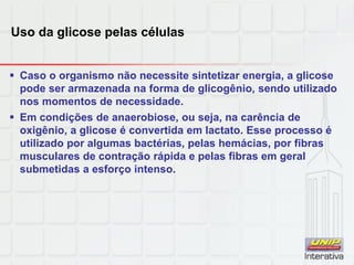 Uso da glicose pelas células
 Caso o organismo não necessite sintetizar energia, a glicose
pode ser armazenada na forma de glicogênio, sendo utilizado
nos momentos de necessidade.
 Em condições de anaerobiose, ou seja, na carência de
oxigênio, a glicose é convertida em lactato. Esse processo é
utilizado por algumas bactérias, pelas hemácias, por fibras
musculares de contração rápida e pelas fibras em geral
submetidas a esforço intenso.
 