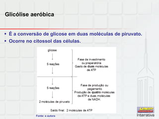 Glicólise aeróbica
 É a conversão de glicose em duas moléculas de piruvato.
 Ocorre no citossol das células.
Fonte: a autora
 