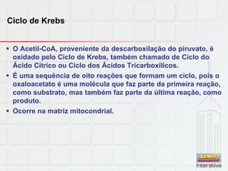 Ciclo de Krebs
 O Acetil-CoA, proveniente da descarboxilação do piruvato, é
oxidado pelo Ciclo de Krebs, também chamado de Ciclo do
Ácido Cítrico ou Ciclo dos Ácidos Tricarboxílicos.
 É uma sequência de oito reações que formam um ciclo, pois o
oxaloacetato é uma molécula que faz parte da primeira reação,
como substrato, mas também faz parte da última reação, como
produto.
 Ocorre na matriz mitocondrial.
 
