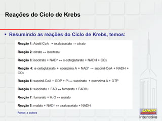 Reações do Ciclo de Krebs
 Resumindo as reações do Ciclo de Krebs, temos:
Fonte: a autora
 