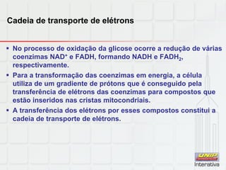 Cadeia de transporte de elétrons
 No processo de oxidação da glicose ocorre a redução de várias
coenzimas NAD+ e FADH, formando NADH e FADH2,
respectivamente.
 Para a transformação das coenzimas em energia, a célula
utiliza de um gradiente de prótons que é conseguido pela
transferência de elétrons das coenzimas para compostos que
estão inseridos nas cristas mitocondriais.
 A transferência dos elétrons por esses compostos constitui a
cadeia de transporte de elétrons.
 