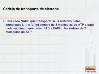 Cadeia de transporte de elétrons
 Para cada NADH que transporta seus elétrons pelos
complexos I, III e IV; há síntese de 3 moléculas de ATP e para
cada succinato que reduz FAD a FADH2, há síntese de 2
moléculas de ATP.
 