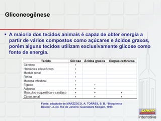 Gliconeogênese
 A maioria dos tecidos animais é capaz de obter energia a
partir de vários compostos como açúcares e ácidos graxos,
porém alguns tecidos utilizam exclusivamente glicose como
fonte de energia.
Fonte: adaptado de MARZZOCO, A; TORRES, B. B. “Bioquímica
Básica”. 2. ed. Rio de Janeiro: Guanabara Koogan, 1999.
 