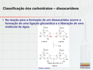 Classificação dos carboidratos – dissacarídeos
 Na reação para a formação de um dissacarídeo ocorre a
formação de uma ligação glicosídica e a liberação de uma
molécula de água.
Fonte: a autora
 