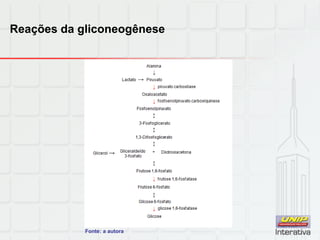 Reações da gliconeogênese
Fonte: a autora
 