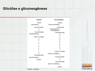 Glicólise e gliconeogênese
Fonte: a autora
 