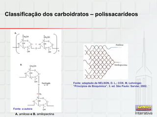 Classificação dos carboidratos – polissacarídeos
A. amilose e B. amilopectina
Fonte: adaptado de NELSON, D. L.; COX, M, Lehninger.
“Princípios de Bioquímica”. 3. ed. São Paulo: Sarvier, 2002.
Fonte: a autora
 