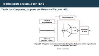 Teoria das Comportas, proposta por Melzack e Wall, em 1965.
Teorias sobre analgesia por TENS
Fonte: Livro-texto.
Entrada do estímulo
Fibras de
grande calibre
Fibras de
pequeno calibre
Controle central
Sistemas
de ação
T cell
SG
Figura 24 – Diagrama mostrando a Teoria das Comportas Medulares da Dor originalmente
descrita por Melzack e Wall, 1965
 