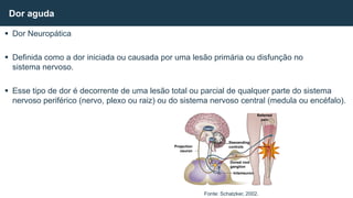  Dor Neuropática
 Definida como a dor iniciada ou causada por uma lesão primária ou disfunção no
sistema nervoso.
 Esse tipo de dor é decorrente de uma lesão total ou parcial de qualquer parte do sistema
nervoso periférico (nervo, plexo ou raiz) ou do sistema nervoso central (medula ou encéfalo).
Dor aguda
Fonte: Schatzker, 2002.
Projection
neuron
Descending
controls
Dorsal root
ganglion
Intemeuron
Referred
pain
Thalamus
PAG
 