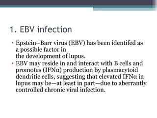 1. EBV infection
• Epstein–Barr virus (EBV) has been identifed as
a possible factor in
the development of lupus.
• EBV may reside in and interact with B cells and
promotes (IFNα) production by plasmacytoid
dendritic cells, suggesting that elevated IFNα in
lupus may be—at least in part—due to aberrantly
controlled chronic viral infection.
 
