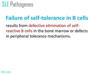 Failure of self-tolerance in B cells
results from defective elimination of self-
reactive B cells in the bone marrow or defects
in peripheral tolerance mechanisms.
 