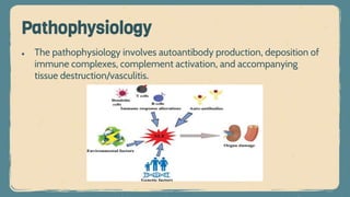 ● The pathophysiology involves autoantibody production, deposition of
immune complexes, complement activation, and accompanying
tissue destruction/vasculitis.
Pathophysiology
 
