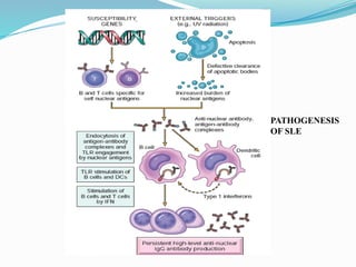 SYSTEMICS LUPUSS ERYTTHROMATOUS DISEASES | PPTX