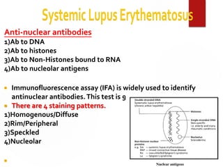 Ifa Homogenous Lecture of Systemic lobus erthrymotus 2026 .pdf