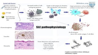 Complexes accumulate in tissues, initiating an
inflammatory response
 