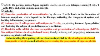 In SLE, the pathogenesis of lupus nephritis involves an intricate interplay among B cells, T
cells, DCs, and other immune components.
include:
(1) Excessive production of autoantibodies by aberrant B cells leads to the formation of
immune complexes, which deposit in the kidneys, activating the complement system and
inciting inflammatory responses.
(2) Autoreactive B cells present self-antigens to T cells, perpetuating immune dysregulation
and fostering the release of pro-inflammatory mediators.
(3) Dendritic cells exhibit aberrant recognition and presentation of self-antigens (dsDNA-
Sm antigen-Histones in drug-induced lupus) thereby initiating and propagating autoimmune
responses against renal tissue.
Understanding these pathogenic mechanisms is pivotal for the development of novel
therapeutic strategies aimed at halting or reversing the progression of lupus nephritis
 