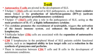 T-cell
• Autoreactive T cells are pivotal in the development of SLE.
• T-helper 1 (Th1) cells are involved in SLE pathogenesis, as they foster oxidative
stress linked to the production of interferon-gamma (IFN-γ) (activate
macrophage to produce proinflammatory cytokines)
• T-helper 17 (Th17) cells play a role in the pathogenesis of SLE, acting as the
main producers of IL-17, a highly inflammatory cytokine.
• This cytokine promotes the recruitment of neutrophils, triggers the activation
of the innate immune system, and enhances the functionality of B
lymphocytes.
• T-follicular helper (Tfh) cells are associated with the expansion of autoreactive
B-cell clones.
• CD8 T lymphocytes in the peripheral blood of SLE patients exhibit functional
deficits, such as an impaired ability to lyse target cells and a reduction in the
synthesis of granzymes and perforins.
• There is interaction between CD4 T cells and B cells in the development of
autoimmune conditions.
 