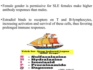 •Female gender is permissive for SLE females make higher
antibody responses than males.
•Estradiol binds to receptors on T and B-lymphocytes,
increasing activation and survival of these cells, thus favoring
prolonged immune responses.
 