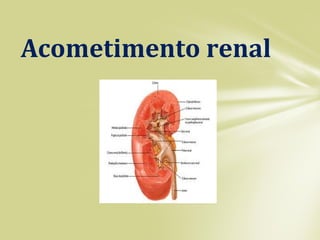 Acometimento renal
 