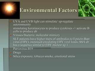 Environmental Factors
 UVA and UVB light can stimulate/ up-regulate
autoimmunity
stimulating keratinocytes to produce cytokines -> activate B
cells to produce ab
 Viruses/Bacteria: molecular mimicry
SLE patients have higher titers of antibodies to Epstein-Barr
virus (EBV), increased circulating EBV viral loads; SSA ab
has a sequence similar to EBV nuclear ag 1
Parvovirus B19
 Drugs
 Silica exposure, tobacco smoke, emotional stress
 