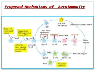 Proposed Mechanisms of Autoimmunity
 