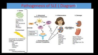 Pathogenesis of SLE ( Diagram)
 