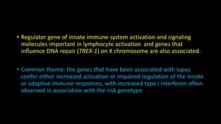 • Regulator gene of innate immune system activation and signaling
molecules important in lymphocyte activation and genes that
influence DNA repair (TREX-1) on X chromosome are also associated.
• Common theme: the genes that have been associated with lupus
confer either increased activation or impaired regulation of the innate
or adaptive immune responses, with increased type I interferon often
observed in association with the risk genotype
 