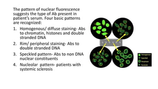 The pattern of nuclear fluorescence
suggests the type of Ab present in
patient’s serum. Four basic patterns
are recognized:
1. Homogenous/ diffuse staining- Abs
to chromatin, histones and double
stranded DNA
2. Rim/ peripheral staining- Abs to
double stranded DNA
3. Speckled pattern- Abs to non DNA
nuclear constituents
4. Nucleolar pattern- patients with
systemic sclerosis
 