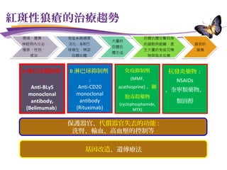 紅斑性狼瘡的治療趨勢
B 淋巴球調節劑
:
Anti-BLyS
monoclonal
antibody,
(Belimumab)
抗發炎藥物 :
NSAIDs
、奎寧類藥物、
類固醇
B 淋巴球抑制劑
:
Anti-CD20
monoclonal
antibody
(Rituximab)
免疫抑制劑
(MMF,
azathioprine) 、細
胞毒殺藥物
(cyclophosphamide,
MTX)
保護器官、代償器官失去的功能 :
洗腎、輸血、高血壓的控制等
基因改造、遺傳療法
 