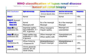 frequency
electron microscopy
(Immune deposits sites)
Immuno-fluorescence
(Immune deposits sites)
light microscopy
WHO Classification
~8%
Normal
Normal
Normal
Class I
~40%
No or few mesangial
Mesangial
No or few mesangial
Mesangial
Normal
Mesangial prolif.
Class II (Mesangial)
Class II-A:
Class II-B
~15%
Mesangial and
subendothelial
Diffuse mesangial &
Irregular capillary.
Segmental capillary
loop proliferation in <
50% of glomeruli
Class III (focal
proliferative GN)
~25%
Subendothelial and
subepithelial
Diffuse mesangial and
Diffuse capillary walls
Global capillary loop
proliferation in > 50%
of glomeruli
Class IV (diffuse
proliferative GN)
~8%
Intramembranous &
subepithelial
Intramembranous &
Frequent mesangial
Diffuse thickening
of basement M.
Class V
(membranous N)
~4%
Chronic glomerular
sclerosis, ISF and
tubular atrophy.
Class VI
(sclerosing GN)
 