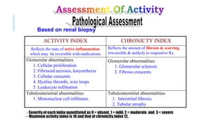 CHRONICTY INDEX
ACTIVITY INDEX
Reflects the amount of fibrosis & scarring,
irreversible & unlikely to respond to Rx..
Reflects the state of active inflammation
which may be reversible with medications
Glomerular abnormalities
1. Glomerular sclerosis
2. Fibrous crescents
Glomerular abnormalities
1. Cellular proliferation
2. Fibrinoid necrosis, karyorrhexis
3. Cellular crescents
4. Hyaline thrombi, wire loops
5. Leukocyte infiltration
Tubulointerstitial abnormalities
1. Interstitial fibrosis
2. Tubular atrophy
Tubulointerstitial abnormalities
1. Mononuclear cell infiltrates
- Severity of each index quantitated as 0 = absent, 1 = mild, 2 = moderate and 3 = severe
- Maximum activity index is 18 and that of chronicity index 12.
Based on renal biopsy
 