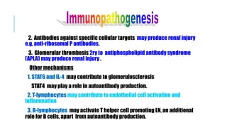 2. Antibodies against specific cellular targets may produce renal injury
e.g, anti-ribosomal P antibodies.
3. Glomerular thrombosis 2ry to antiphospholipid antibody syndrome
(APLA) may produce renal injury .
Other mechanisms
1. STAT6 and IL-4 may contribute to glomerulosclerosis
STAT4 may play a role in autoantibody production.
2. T-lymphocytes may contribute to endothelial cell activation and
inflammation
3. B-lymphocytes may activate T helper cell promoting LN, an additional
role for B cells, apart from autoantibody production.
 