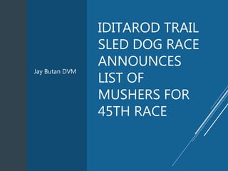 IDITAROD TRAIL
SLED DOG RACE
ANNOUNCES
LIST OF
MUSHERS FOR
45TH RACE
Jay Butan DVM
 