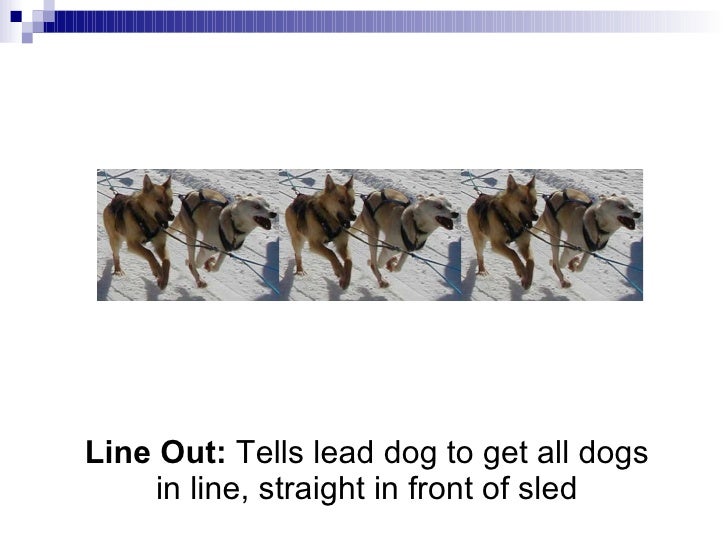sled commands sled racing mushing terms sled commands sled racing mushing terms