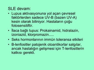 SLE devam: Lupus aktivasyonuna yol açan çevresel faktörlerden sadece UV-B (bazen UV-A) kesin olarak biliniyor. Hastaların çoğu fotosensitiftir. İlaca bağlı lupus: Prokainamid, hidralazin, izoniazid, klorpromazin..... Seks hormonlarının immün toleransa etkileri B-lenfositler patojenik otoantikorlar salgılar, ancak hastalığın gelişmesi için T-lenfositlerin katkısı gerekli. 