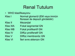 Renal Tutulum WHO klasifikasyonu Klas I Normal glomerül (EM veya immün  floresan ile depozit görülebilir) Klas II  Mezanjial Klas IIIA  Fokal segmental GN Klas IIIB Fokal prolifeartif GN Klas IV Diffüz proliferatif GN Klas V  Diffüz membranöz GN Klas VI İleri evre sklerozn GN  