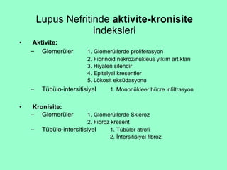 Lupus Nefritinde  aktivite-kronisite  indeksleri Aktivite: Glomerüler  1. Glomerüllerde proliferasyon 2. Fibrinoid nekroz/nükleus yıkım artıkları 3. Hiyalen silendir 4. Epitelyal kresentler 5. Lökosit eksüdasyonu Tübülo-intersitisiyel 1. Mononükleer hücre infiltrasyon   Kronisite: Glomerüler 1. Glomerüllerde Skleroz 2. Fibroz kresent Tübülo-intersitisiyel  1. Tübüler atrofi 2. İntersitisiyel fibroz  